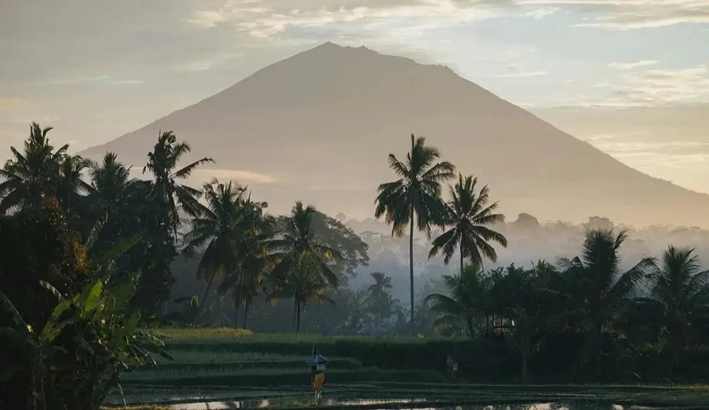 Palm trees and a volcano in Bali at dawn